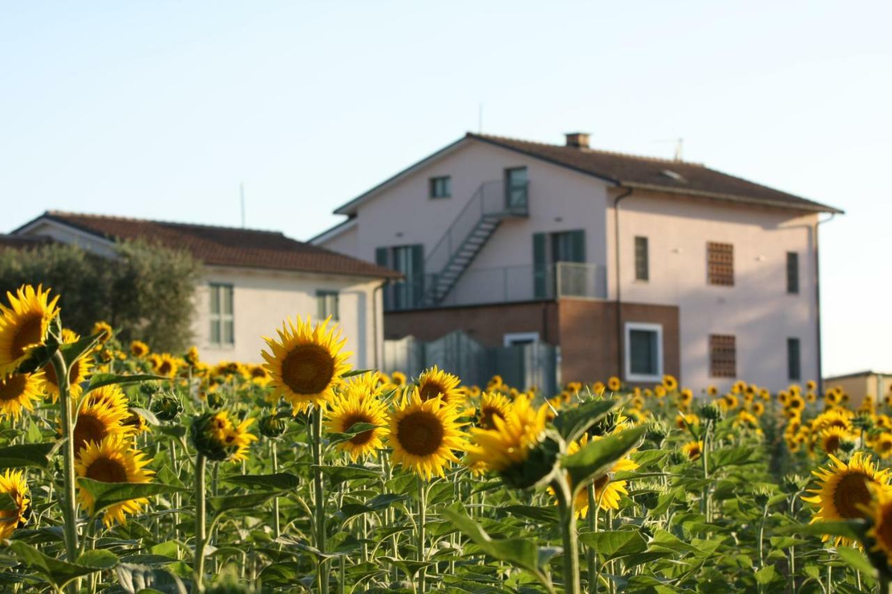 La Collina Del Girasole Villa Montecastrilli Exteriör bild