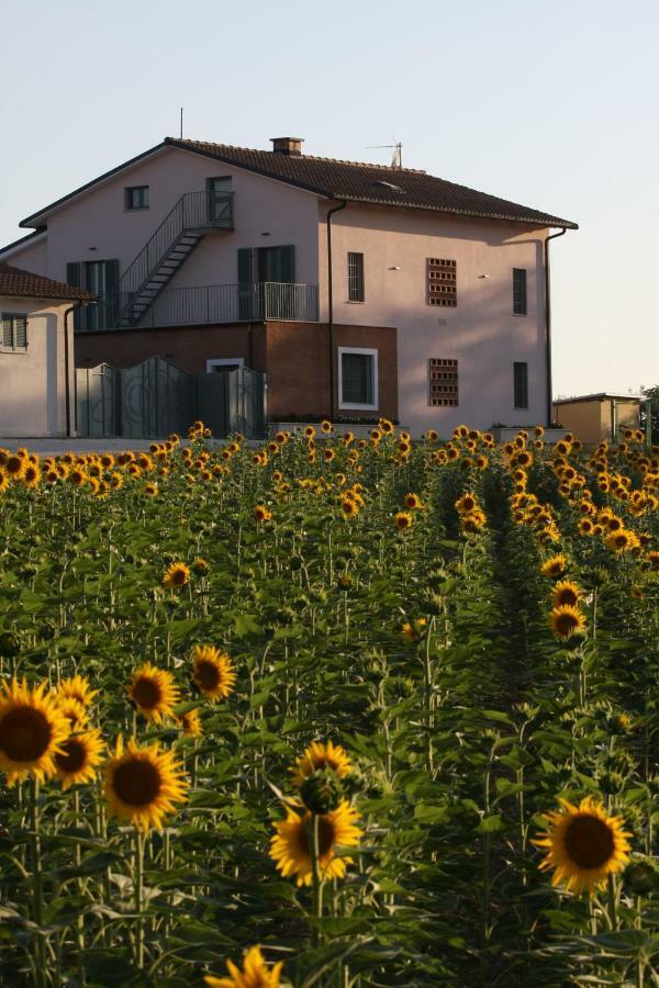 La Collina Del Girasole Villa Montecastrilli Exteriör bild